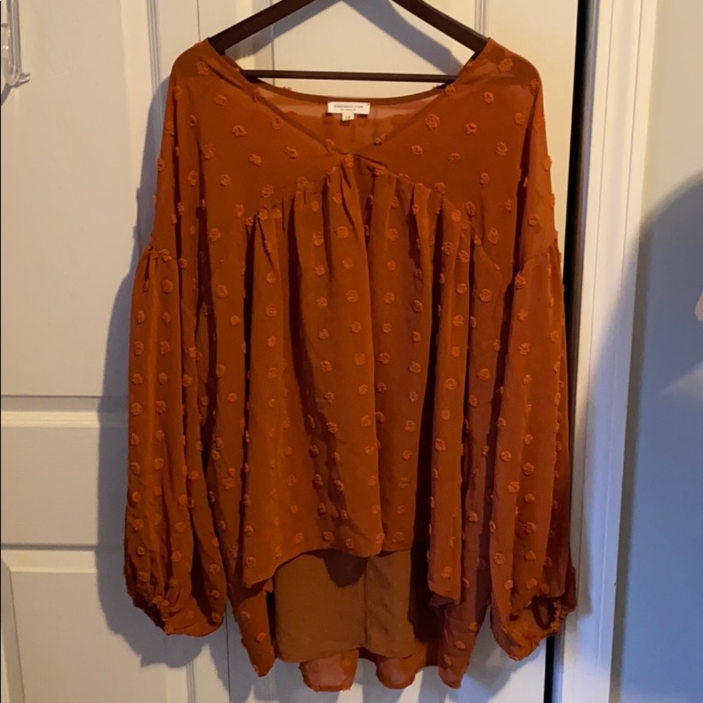 Chic Soul Love is Catching Blouse Hi-Low Sheer
